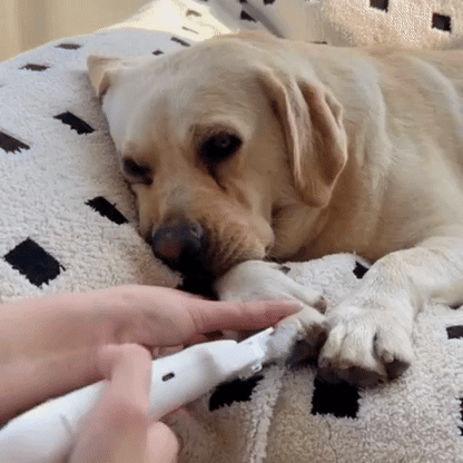 PawBuddys - Klotång